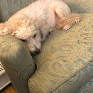 Meet your Posher, Kathleen